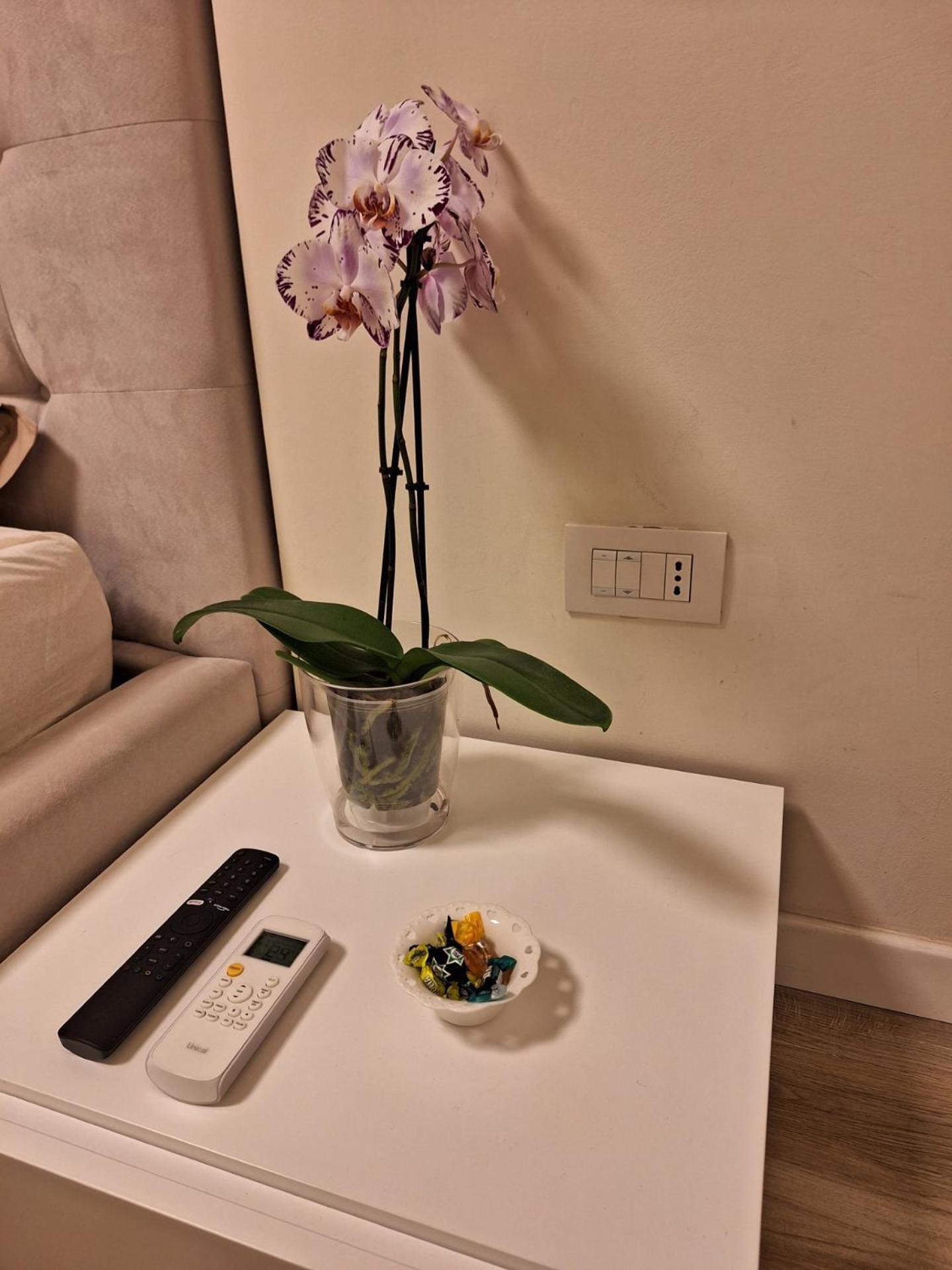 Apartamento Il Colibri Alguer Exterior foto